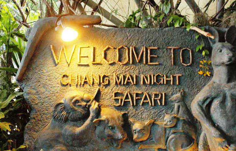 Chiangmai Night Safari Resort Chiang Mai Zewnętrze zdjęcie